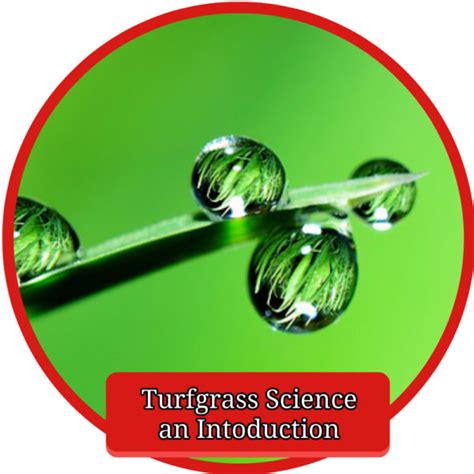 Turfgrass Science An Introduction For Greenkeepers Bowls Central