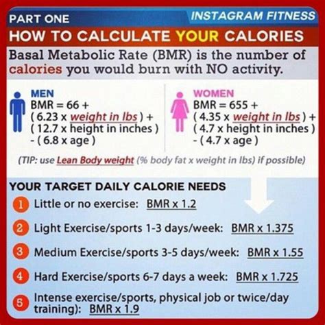 How To Calculate Basal Metabolic Rate Calculator Haiper