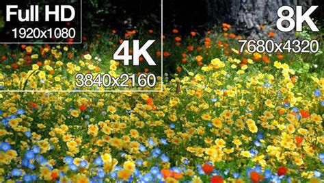 Video Resolutions 720p Vs 1080p Vs 2k Vs 4k Vs 8k