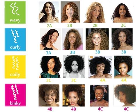Curl Type Chart Hair Type Chart Curly Hair Types Hair Porosity