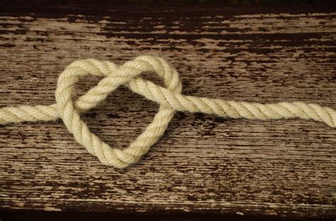 Free Images Rope Number Love Friendship Cord Close Up Knot