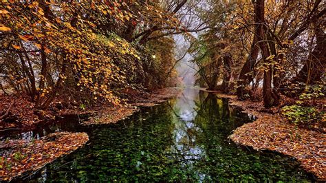 Autumn Of The River Salza Near Nordhausen Harz In Germany Hd Wallpaper