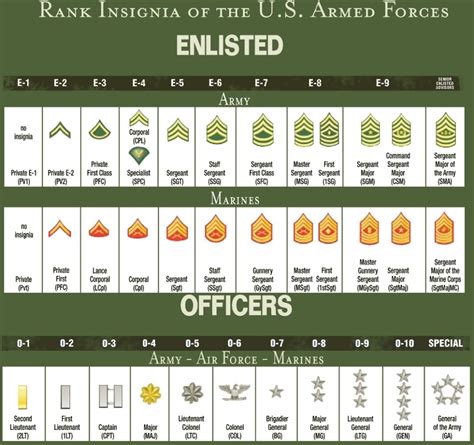 Enlisted Army Meaning Of Alcon