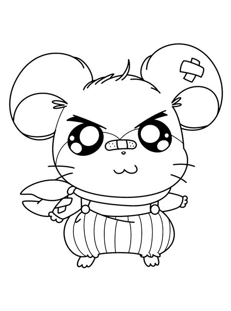 Coloring Page Hamtaro Coloring Pages 19