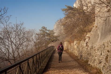Mujer Caminando Sola Por Un Camino De Niebla Rural Imagen Editorial
