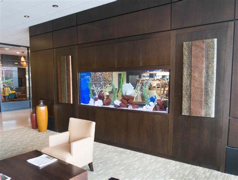 We did not find results for: Built-in 250 Gallon Marine - Clayton Aquariums