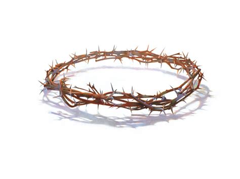 Images Of Easter The Crown Of Thorns