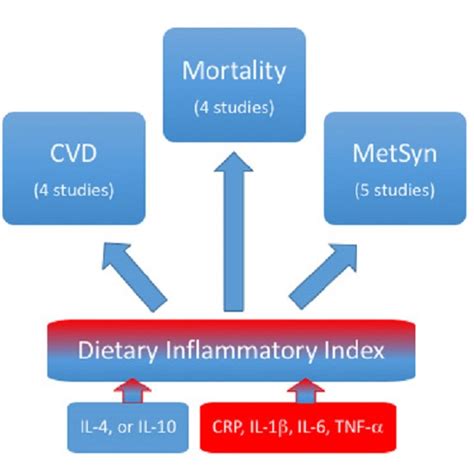 Ijms Free Full Text The Role Of Dietary Inflammatory Index In