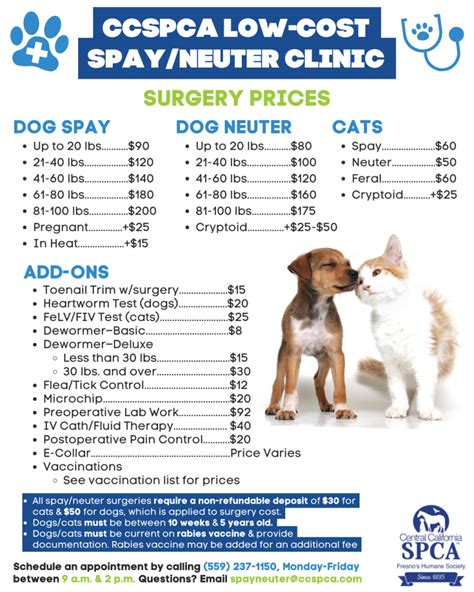 How Much Does It Cost To Spay A Dog