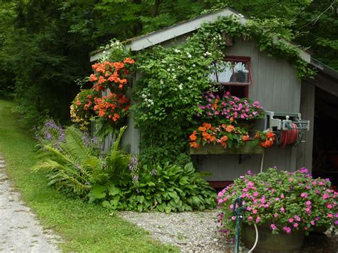 Shrubs are the best cottage garden plants because they offer structure. Five Traditional Elements of a Cottage Garden - FineGardening