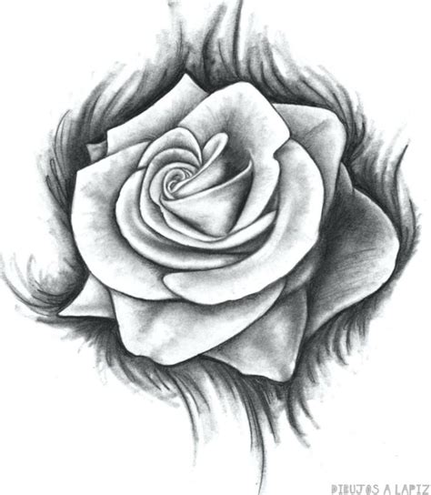 top 129 imagenes para dibujar a lapiz faciles de rosas smartindustry mx