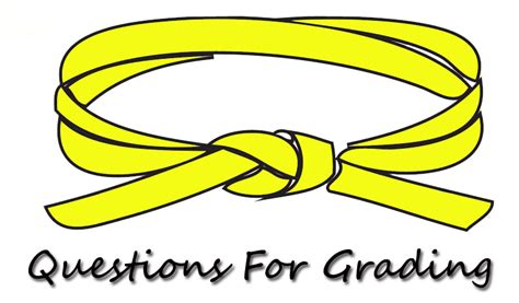 Club penguin earning ninja belts. Belt clipart yellow belt, Belt yellow belt Transparent ...