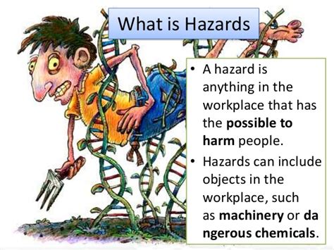 They can be classified as type of occupational hazard or environmental hazard. Agricultural health hazards