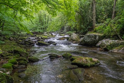 Why is it called slickrock? Meanderthals | Slickrock Creek Trail to Lower Falls, Joyce ...