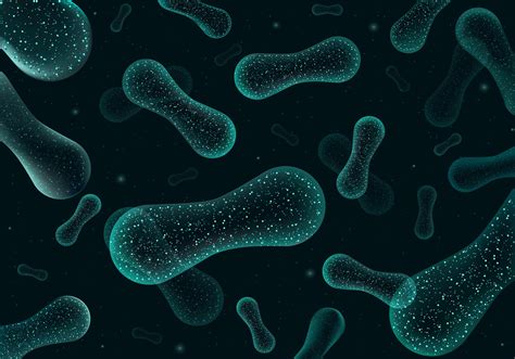 Turning New Discoveries About The Trillions Of Microbes In Our Bodies