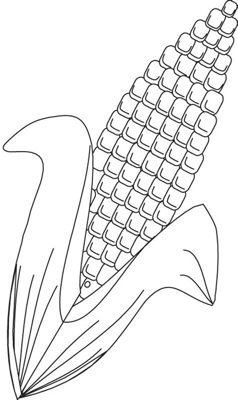 corn coloring page   corn coloring page  kids  coloring pages