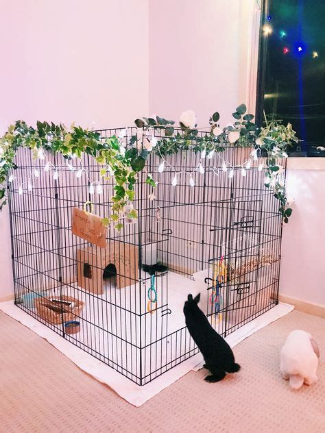 Diy Bunny Cage Ideas My Boyfriends Dad Built This For My Holland Lop