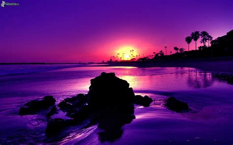 Purple Ocean Sunset Wallpaper