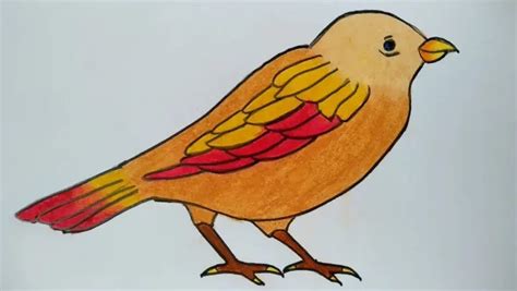 Cara Melukis Burung Merpati Belajar Cara Menggambar Burung Merpati
