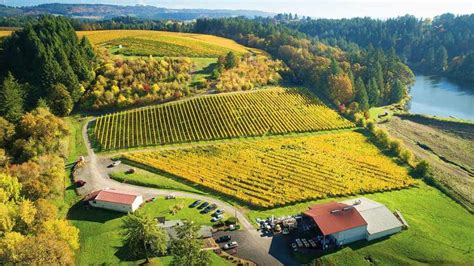 10 Best Oregon Pinot Noir Wines 2024 Taste Prices Uniqueness
