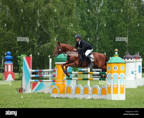 Equestrian Show Jumping Stock Photo Alamy