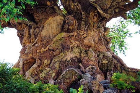 26 best Tree of life images on Pinterest | Disney animal kingdom, Tree ...