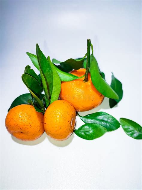The Orange Mandarin As We Know Santang Orange Or Shantang Isolated On
