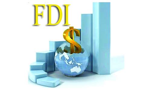 The Types Of Investment In Foreign Direct Investment