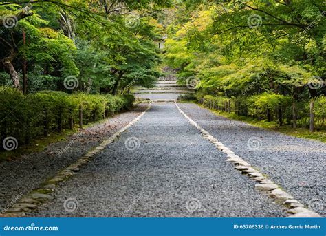 Stone Path Through Japanese Forest In Early Autumn Stock Photo Image
