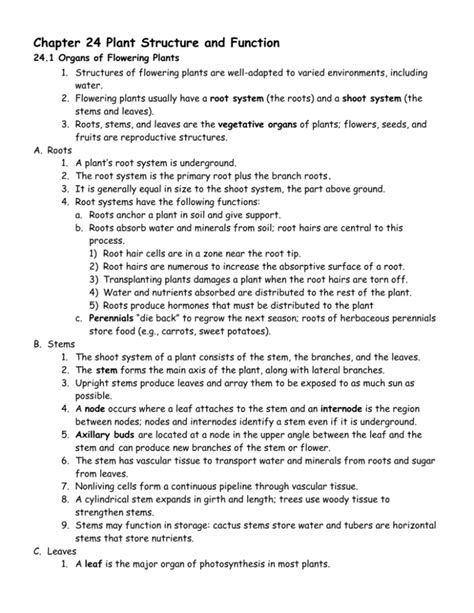 Plant Structure And Function