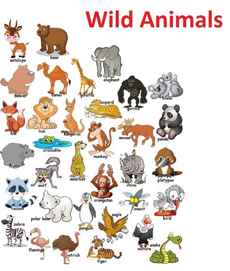 Wild Animals English Is Fun