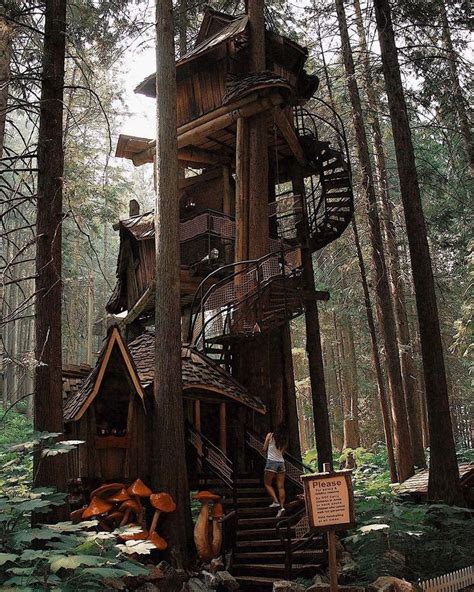 Right Out Of A Fairytale Bcs Largest Treehouse Lives In The Enchanted