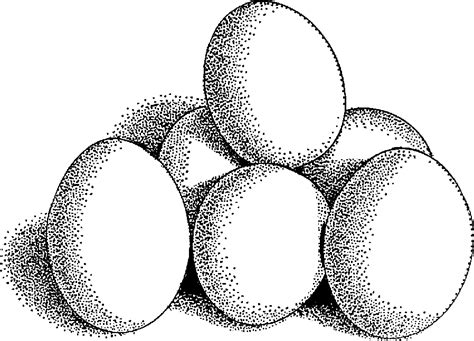 Download Egg Clipart Black And White Pics Alade