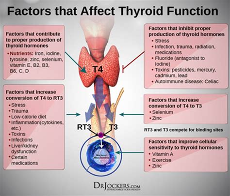 Thyroid Hormone Treatment Clinic For Advanced Health