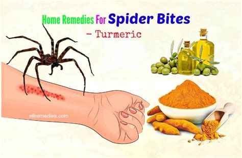 Symptoms And 24 Home Remedies For Spider Bites Itching On Face And Arm