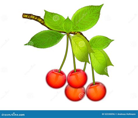 Vector Cherry Tree On White Background Stock Illustration