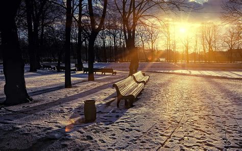Cities Winter Sunset Snow Park Bench Lights Of A Sun Rays Of The