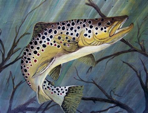Brown Trout Trout Painting Trout Art Fly Fishing Art