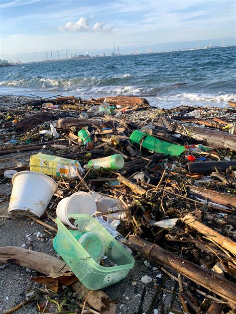 【ウミガメが死んでいく】one world one ocean ~プラスチックと海の生き物たち~ 4k. 海の漂着ゴミ問題 | Tokyo bay Beach clubのブログ
