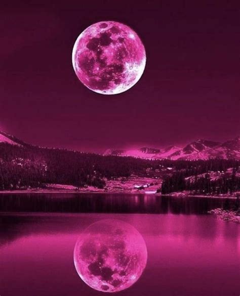 Pink Moon Pink Moon Beautiful Moon Beautiful Nature