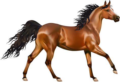 Horse Clipart Arabian Horse Horse Arabian Horse Transparent Free For