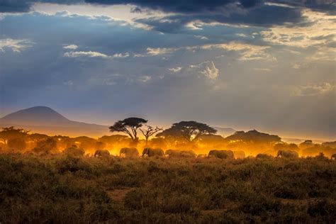 The Best Little Visited African National Parks Rough Guides