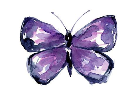 Purple Butterfly Watercolor Painting By Olga Shvartsur Fine Art America