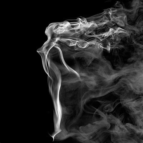 Mind Blowing Smoke Art By Mehmet Ozgur Design Swan