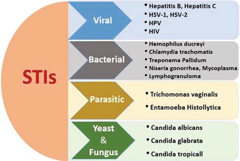 In einer zähen partie nutzte die ksv ihr chancenplus zur pausenführung. Microbicides for the Prevention of HPV, HIV-1, and HSV-2: Sexually Transmitted Viral Infections ...