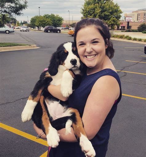 A Woman Holding A Puppy In Her Arms