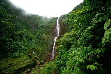 Chutes Du Carbet Guadeloupe Guadeloupe Belle Photo Foret Tropicale