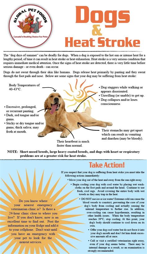 Villains and cats just fit. Dogs and Heat Stroke - Key facts & Info: As we head into ...