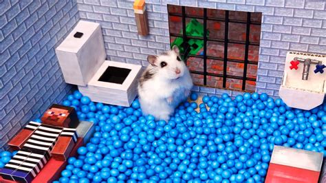 Hamster Escapes The Awesome Minecraft Maze With Obstacle Course Youtube