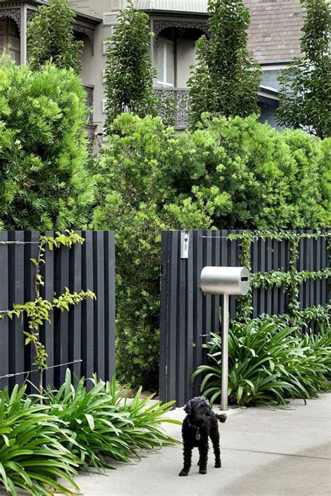 25 Unique Garden Fence Ideas With Plants To Your Privacy Homemydesign